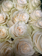 Ecuadorian ROSE