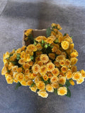 Yellow Spray roses