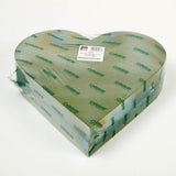 OASIS FOAM FRAMES Ideal Floral Foam Solid Hearts LARGE (PK2)