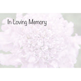 Cards: In Loving Memory Pink Sacbious Cards (x50)