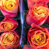 Rose CONFIDENTIAL