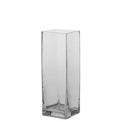 Glass Tank (H30 L10 W10cm)