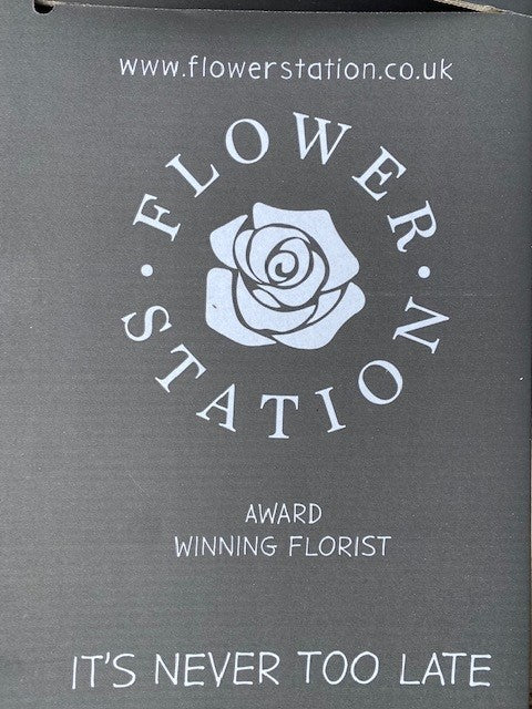 Flower Station Overnight Boxes (x10)