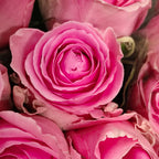 ROSES Wham