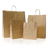 Brown Paper Carrier Bags with Twisted Handle 21x31x9cm (Size 1 -125)