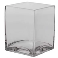 Glass Tank (H15xL12xW12cm)